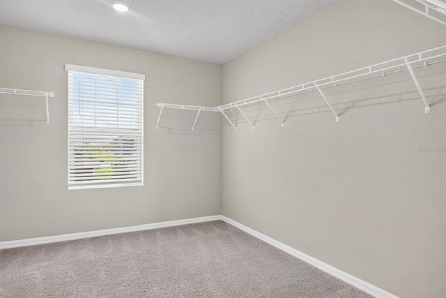 10025 DAYBREAK GLEN, Parrish, FL 34219