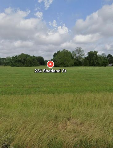224 Shetland Court, Angleton, TX 77515