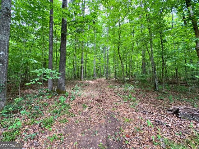 240 Riverview Road, Jackson, GA 30233