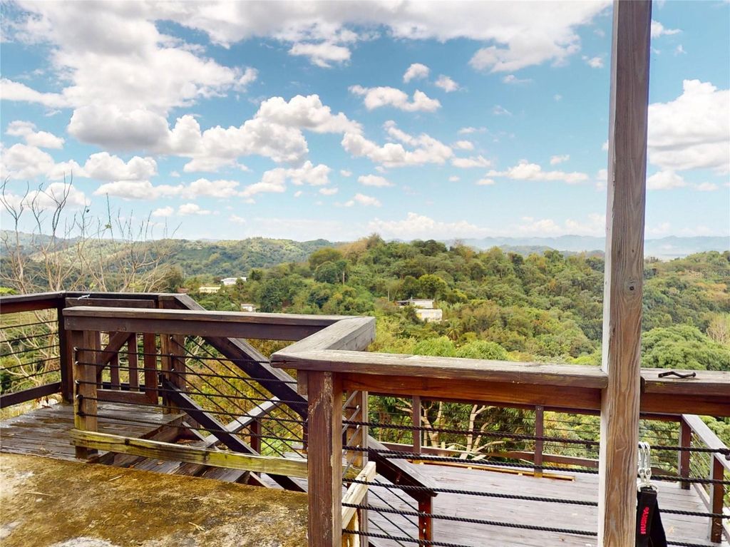 Image 15 of property listing at Carr 348 KM 14.0, INT. BO. ROSARIO PENON, San German, PR 00683