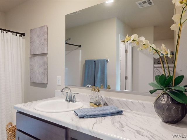 11229 Snapdragon Cove, Tuscaloosa, AL 35405