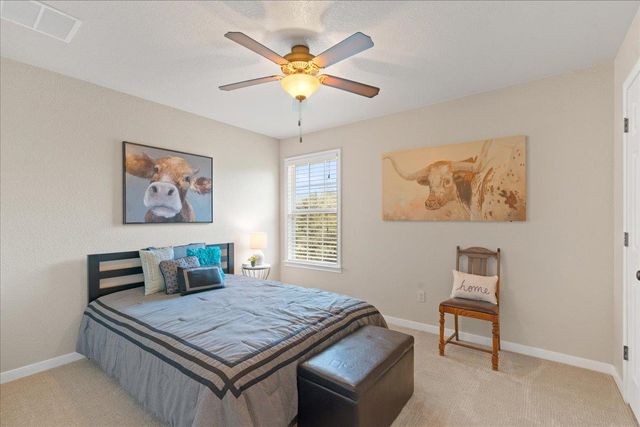 1409 Old Mill RD, Salado, TX 76571