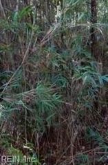 Lot 2 Maple St, Suffolk, VA 23432