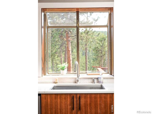 2001 County Road 68, Nederland, CO 80466