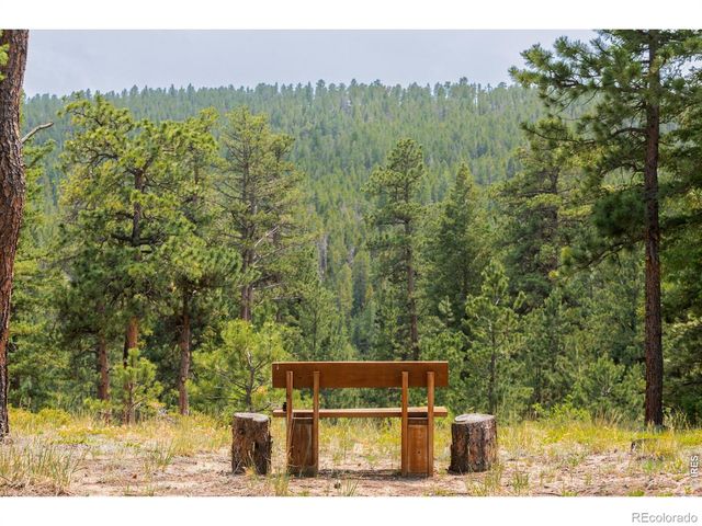 2001 County Road 68, Nederland, CO 80466