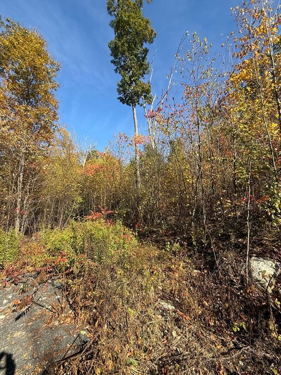 Lot 1 Amherst Rd., Belchertown, MA 01007