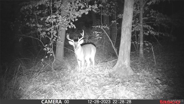 299 Merrill Lane, Deatsville, AL 36022