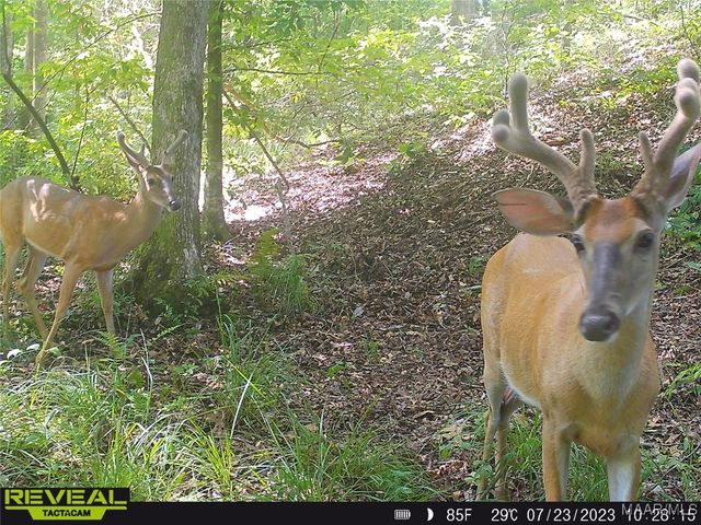 299 Merrill Lane, Deatsville, AL 36022