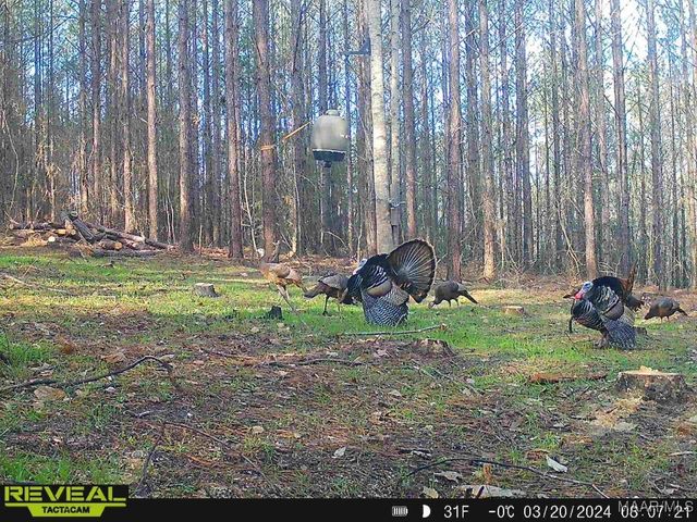 299 Merrill Lane, Deatsville, AL 36022