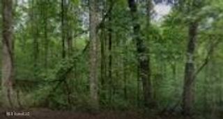 Dogwood Lane, Poplarville, MS 39470