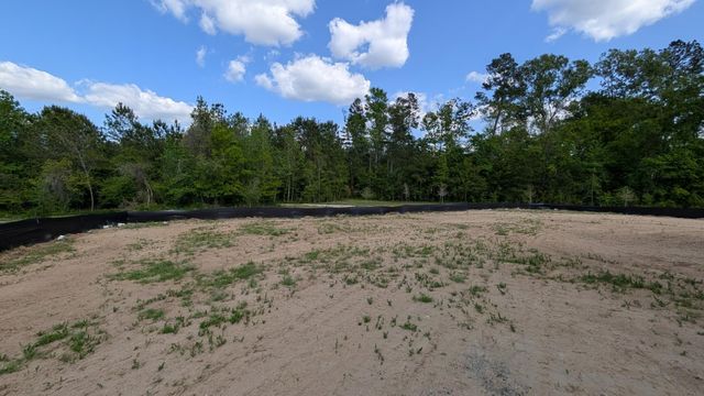 336 Palfrey Drive, Ridgeville, SC 29472