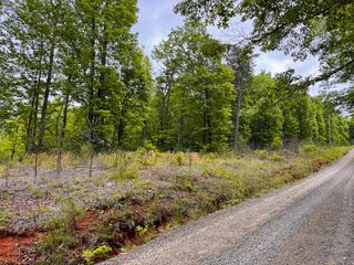 Lot 4 Shortcut DR, Woolwine, VA 24185
