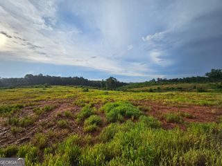TRACT 2 THORNTO Thornton Drive, Elberton, GA 30635