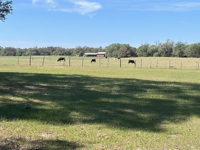 10250 NW 67TH PLACE, Chiefland, FL 32626