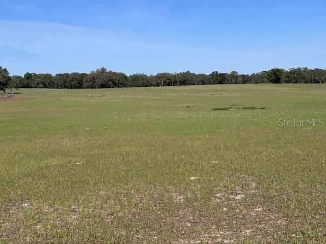 10250 NW 67TH PLACE, Chiefland, FL 32626