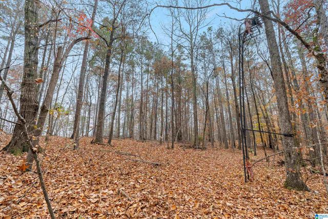 65 RIDGECREST LANE, Trussville, AL 35173