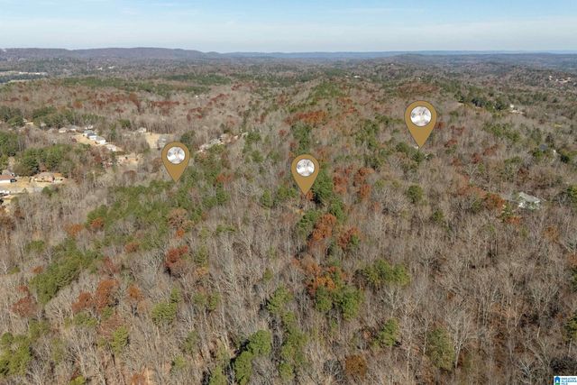 65 RIDGECREST LANE, Trussville, AL 35173