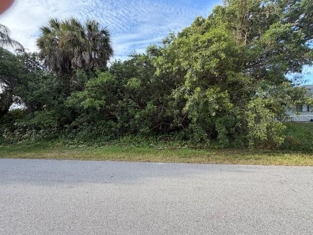 21447 DRANSON AVENUE, Port Charlotte, FL 33952