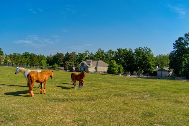 463 Anderson Pond Road, Aiken, SC 29803