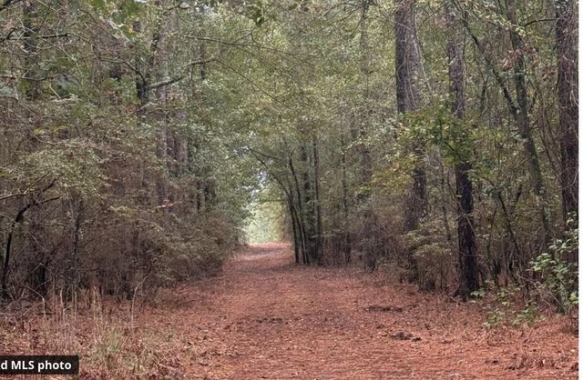 463 Anderson Pond Road, Aiken, SC 29803