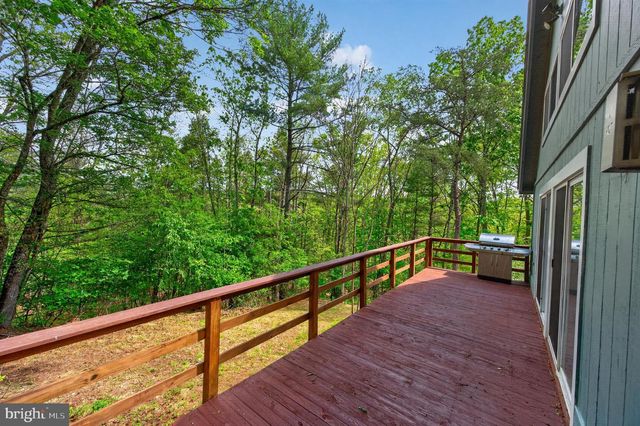 393 PALMER, Basye, VA 22810