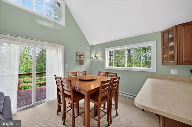 393 PALMER, Basye, VA 22810