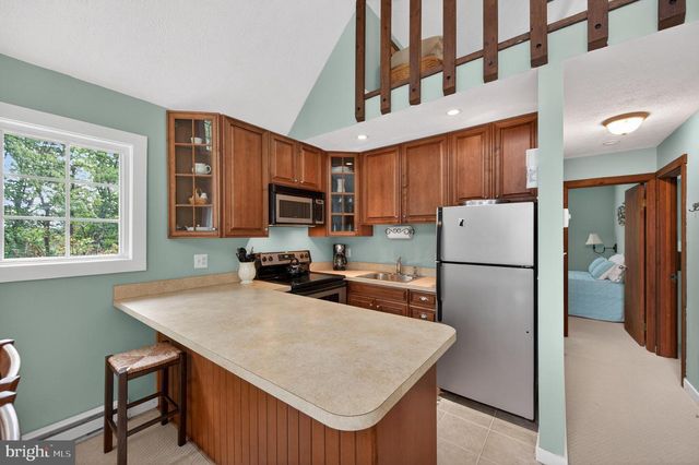 393 PALMER, Basye, VA 22810