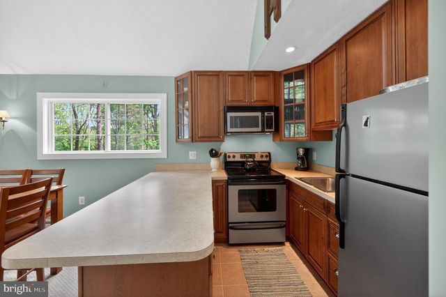 393 PALMER, Basye, VA 22810