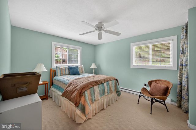 393 PALMER, Basye, VA 22810