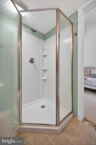 393 PALMER, Basye, VA 22810
