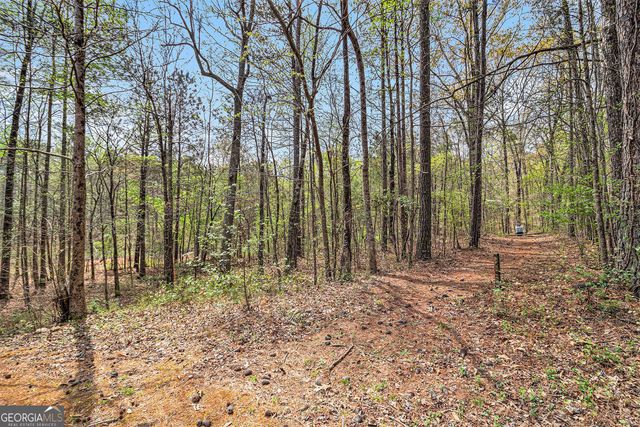 7497 Treehouse Court, Douglasville, GA 30135
