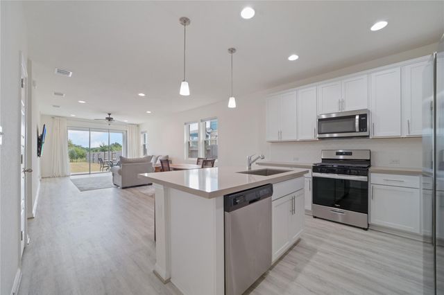 432 Chaste Tree DR, San Marcos, TX 78666