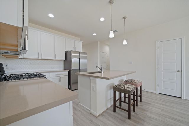 432 Chaste Tree DR, San Marcos, TX 78666