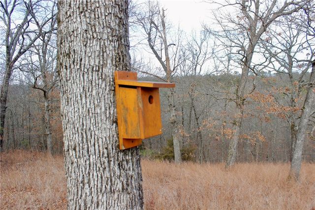 County Road 266, Eureka Springs, AR 72632