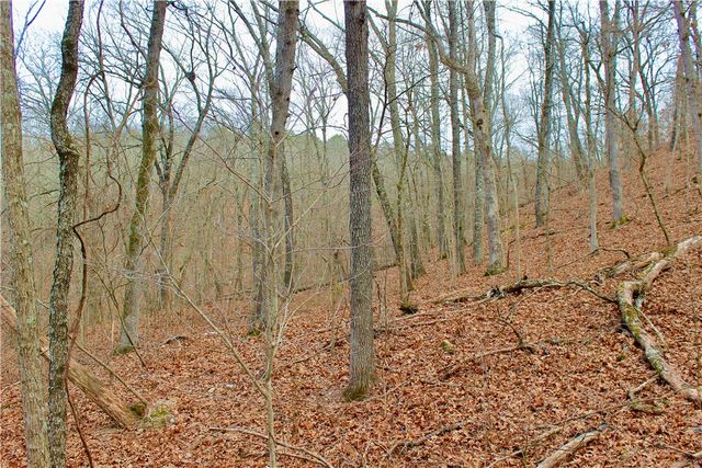 County Road 266, Eureka Springs, AR 72632