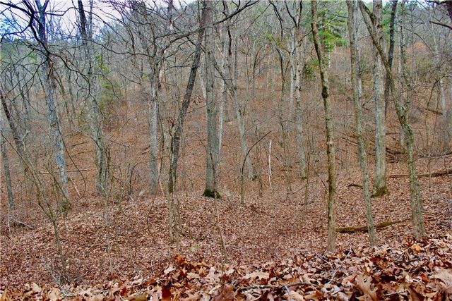 County Road 266, Eureka Springs, AR 72632