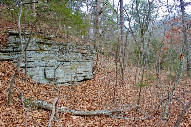 County Road 266, Eureka Springs, AR 72632