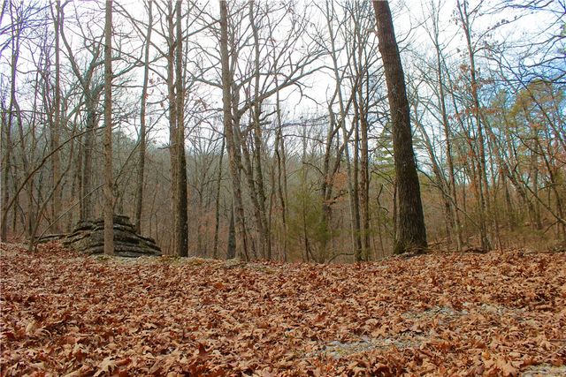 County Road 266, Eureka Springs, AR 72632