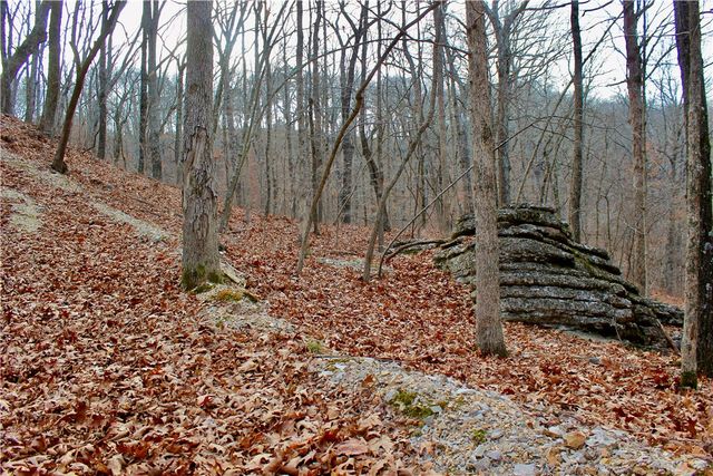 County Road 266, Eureka Springs, AR 72632