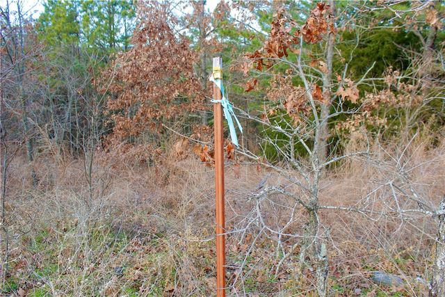 County Road 266, Eureka Springs, AR 72632