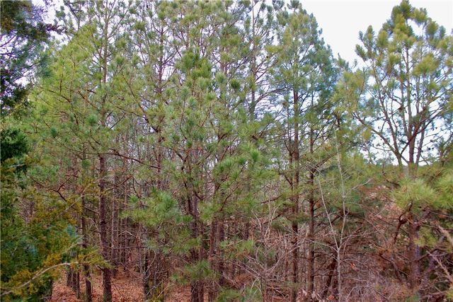 County Road 266, Eureka Springs, AR 72632