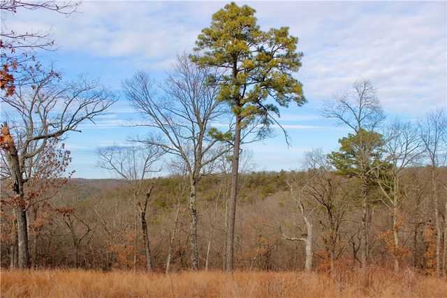 County Road 266, Eureka Springs, AR 72632