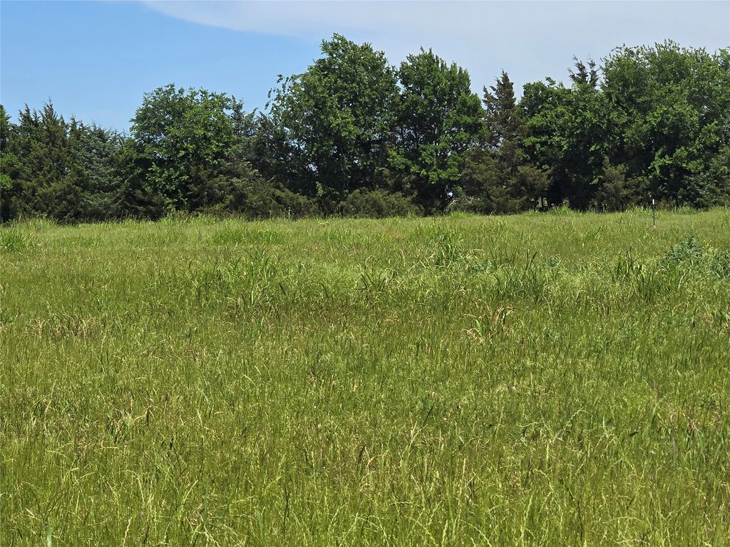 TBD County Road 1039, Blue Ridge, TX 75424