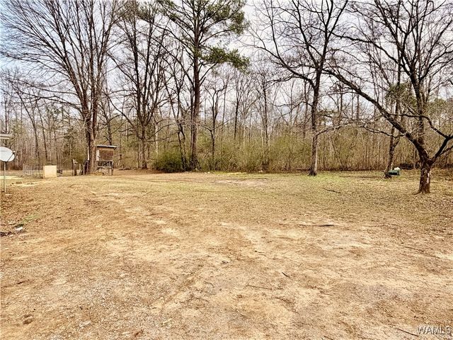 4100 Montevallo, Centreville, AL 35042