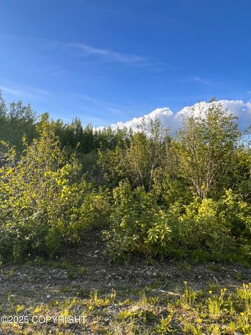 14045 W Aero Lane, Big Lake, AK 99623