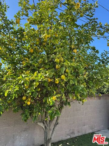 22925 S Berendo Avenue, Torrance, CA 90502