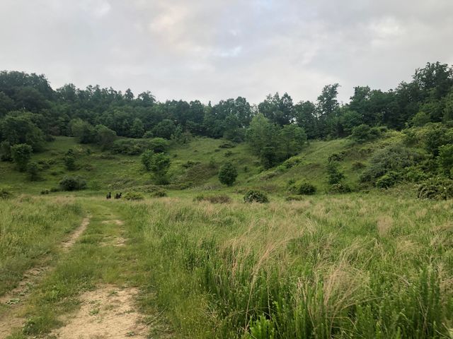 59 Irvine Allen Cemetery Road, Salyersville, KY 41465