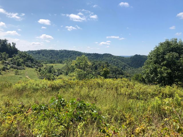 59 Irvine Allen Cemetery Road, Salyersville, KY 41465