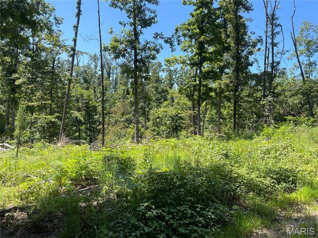 000 County Road 456, Piedmont, MO 63957