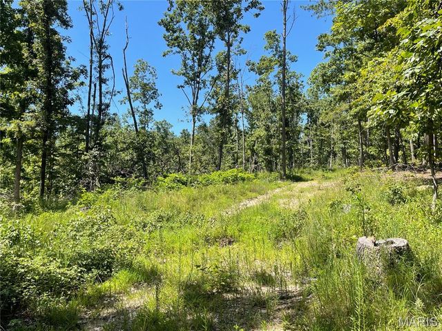 000 County Road 456, Piedmont, MO 63957